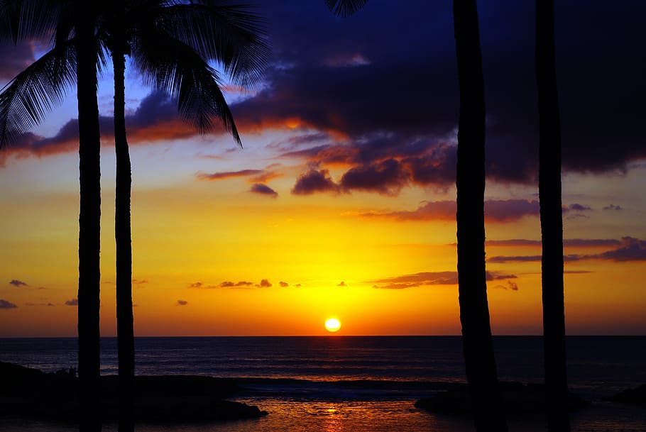 Couple Kissing Phone, orange color, vacation, island, scenics  nature Free HD Wallpaper