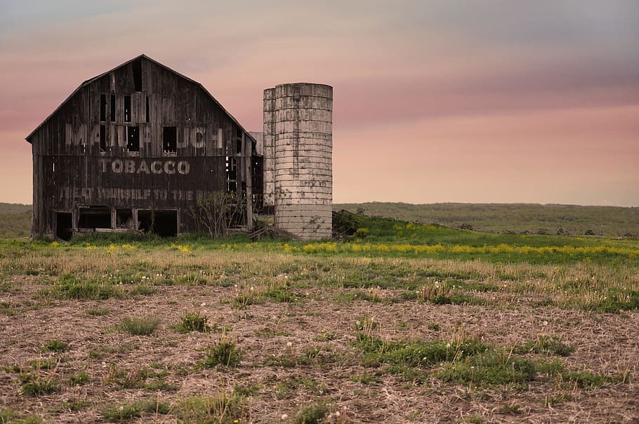 field, abandoned, barn, countryside Free HD Wallpaper
