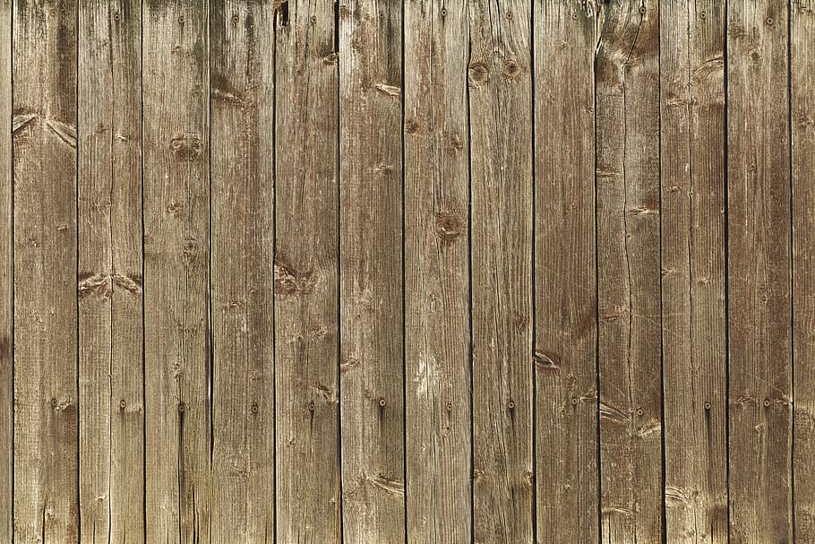 Free Printable Wood-Burning Patterns Skulls, boundary, outdoors, wood texture, dirty Free HD Wallpaper