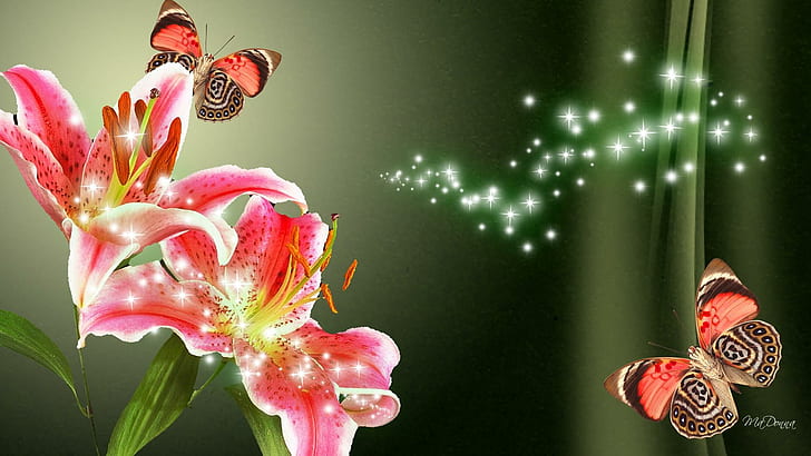 glow, summer, coral, butterfli Free HD Wallpaper