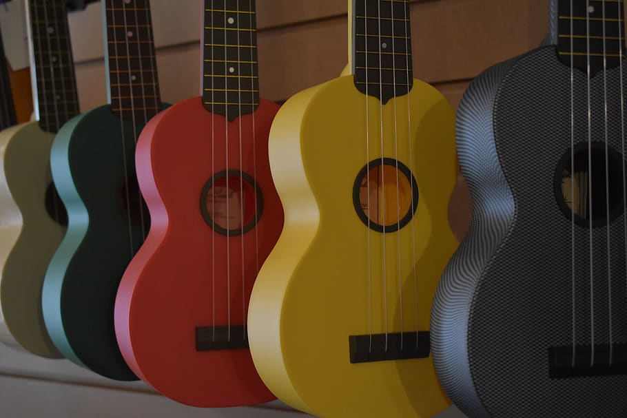 Guitar, multi colored, choice, string, closeup Free HD Wallpaper