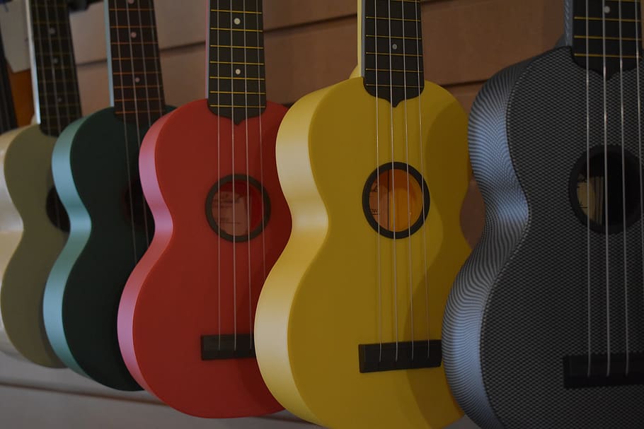 Guitar, multi colored, choice, string, closeup