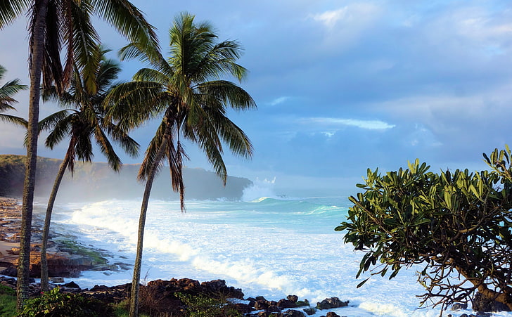 Hawaii 1280X1024, morning, beach, molokai, sea Free HD Wallpaper