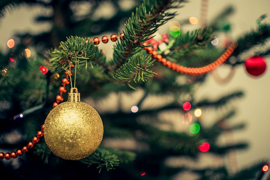 Kitchen Christmas Tree, plant, christmas tree, merry, no people