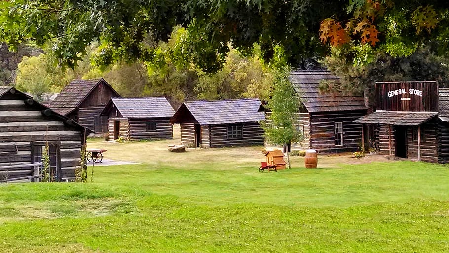 Log Cabin Farmhouse, antique, vintage, land, plant