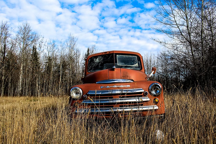 Old Cars and Trucks, engine, wreck, nostalgia, plant Free HD Wallpaper