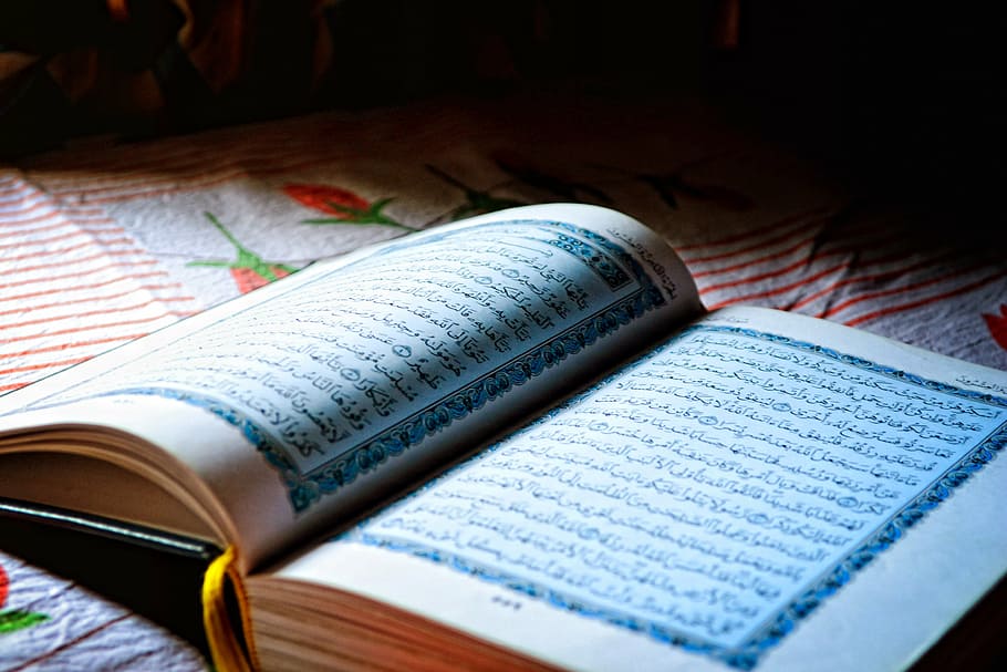 Read Quran, learning, page, pray, newspaper