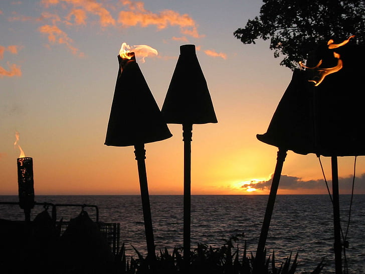 Sea Bass Dinner, view, torches, hawaii, orange