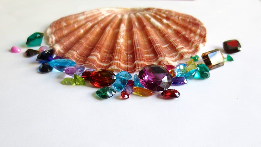 seashell, multi colored, glitter, sapphire Free HD Wallpaper