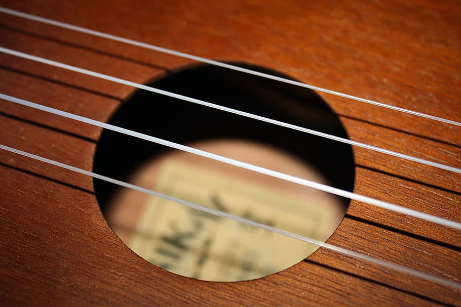 Ukulele Strings Types, string instrument, audio, uke, hawaii Free HD Wallpaper