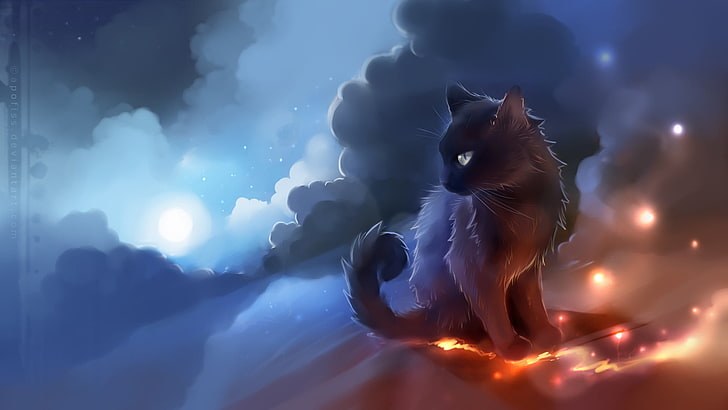 Warrior Cats Memes, orange, anime, beauty in nature, sunbeam Free HD Wallpaper