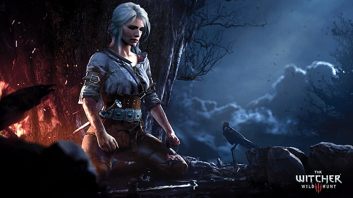 Witcher 3 Characters, ciri, fantasy, adult, warning sign Free HD Wallpaper