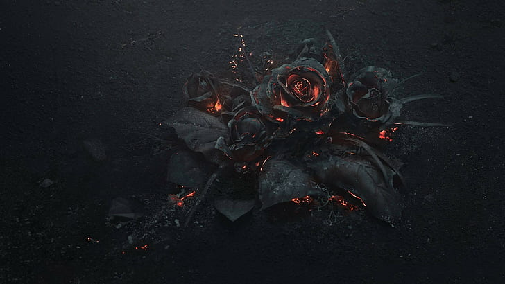 Burning Red Rose, gothic, fire, rose, flowers Free HD Wallpaper