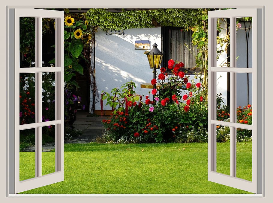Cottage Window Shutters, door, sunflower, autumn, ornamental plant Free HD Wallpaper
