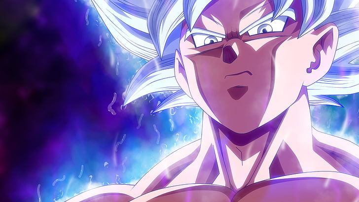 DBS Ultra Instinct Goku, son, purple, carnival, mask  disguise Free HD Wallpaper