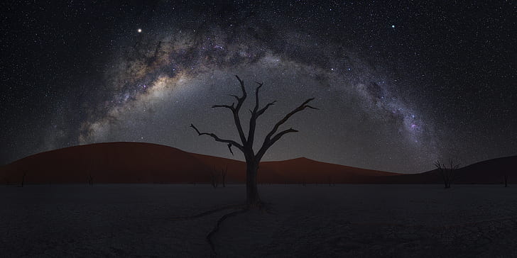 Desert Island Plants, night, starry sky, namibia, dune Free HD Wallpaper