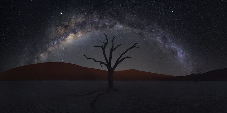 Desert Island Plants, night, starry sky, namibia, dune