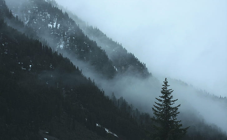 Foggy Mountain Lake, mist, scenics, snowy, canada
