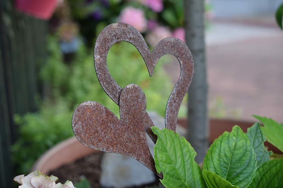 Heart Shaped Flowers of Love, heart shape, no people, design, symbolic