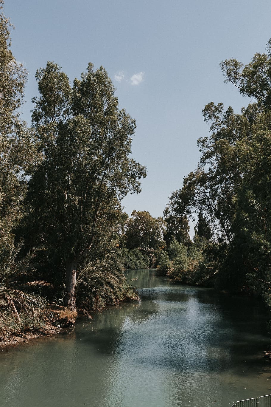 Jesus Baptism Site, tranquil scene, forest, tranquility, waterfront Free HD Wallpaper