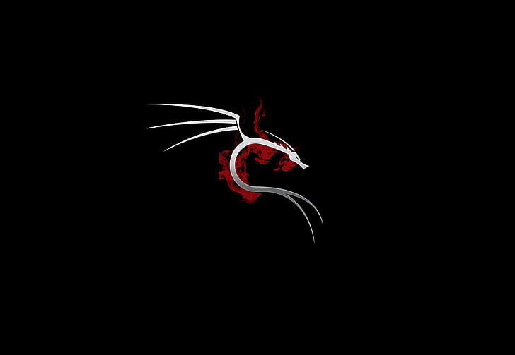 Kali Linux Black, single object, cut out, symbol, insignia Free HD Wallpaper