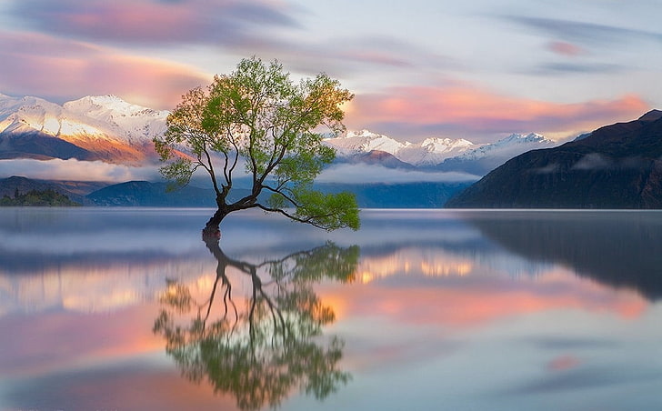 Lake Wanaka Tree New Zealand Map, outdoors, mountain range, sky, water