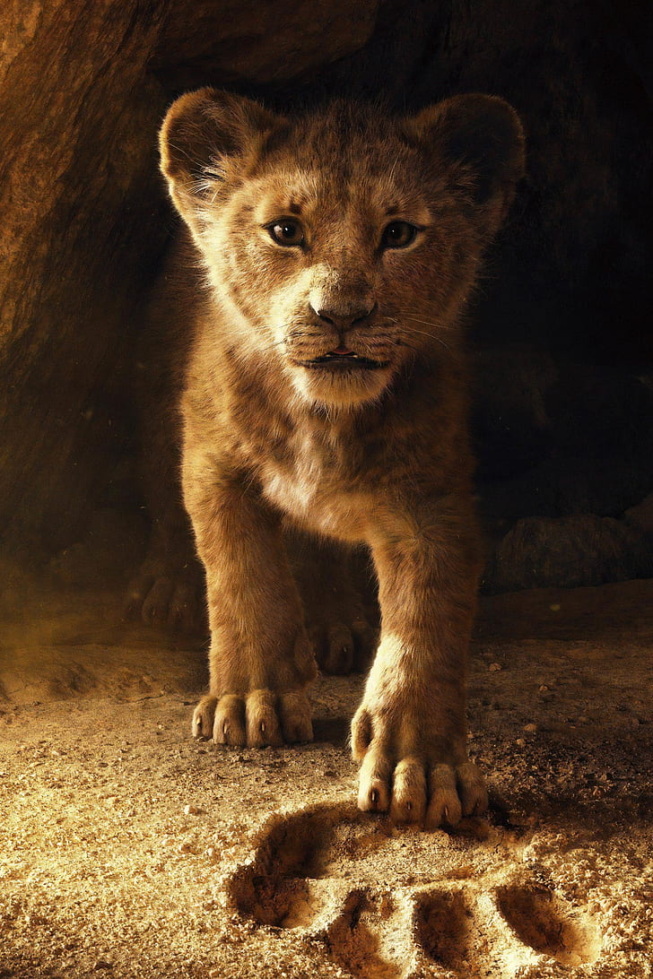 Lion King Movie Songs, lion, poster, movie, king Free HD Wallpaper