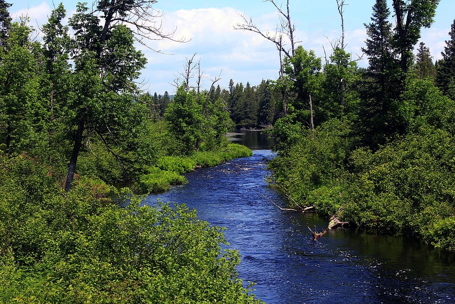 Minnesota Scenic Byways, tranquil, usa, green color, environment Free HD Wallpaper