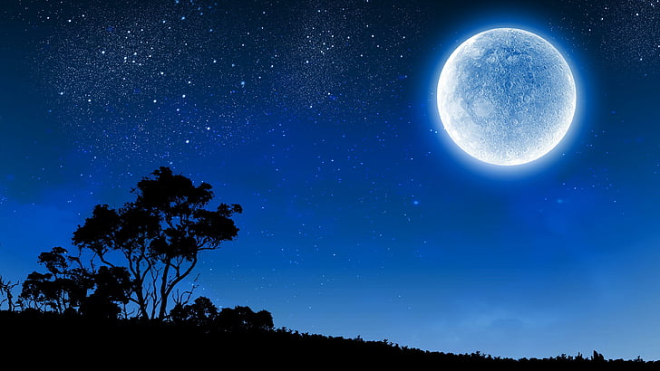 Moon Night Stars, moon, night sky, starry, silhouette Free HD Wallpaper