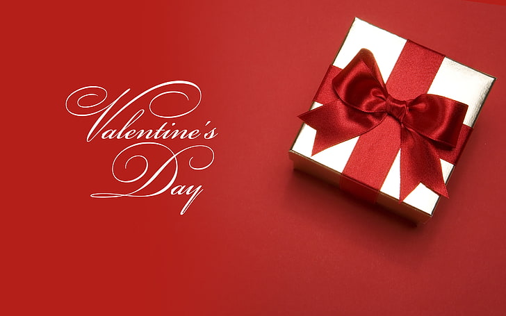 no people, valentines day, studio shot, red background Free HD Wallpaper