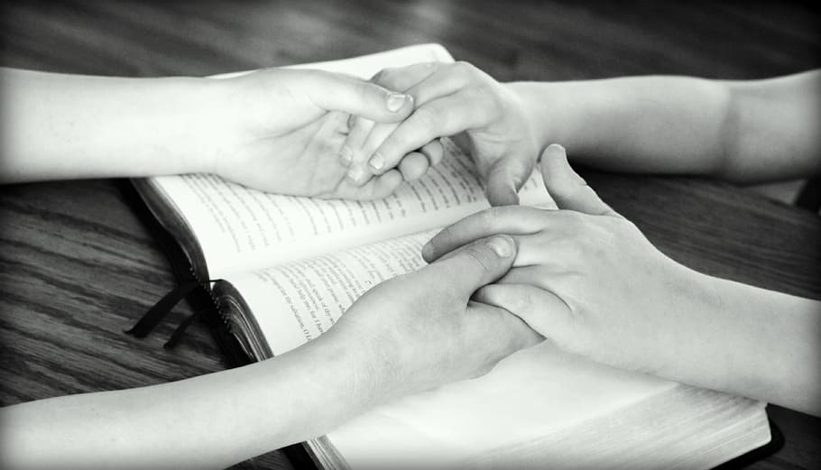 Praying Hands Holy Bible, life, love, closeup, religion