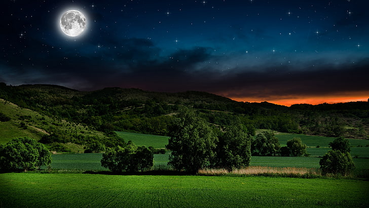 Starry Night Sky, moonlit, moon, moonlight, tree Free HD Wallpaper