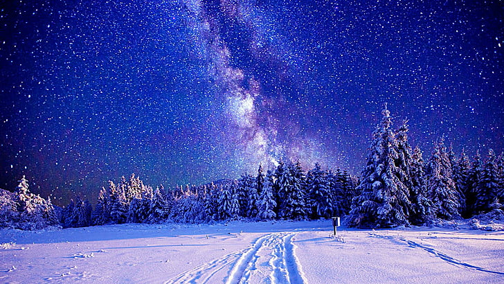 Starry Sky, night, night sky, starry night, starry Free HD Wallpaper
