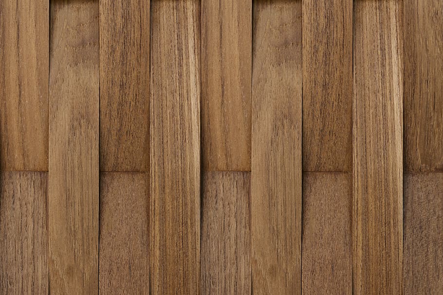 surface, closeup, timber, tree Free HD Wallpaper