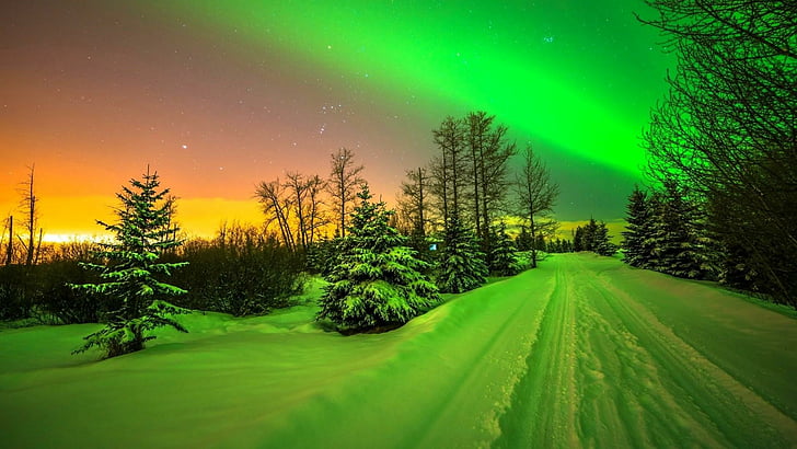 Winter Night Northern Lights, borealis, aurora borealis, night sky, night lights Free HD Wallpaper