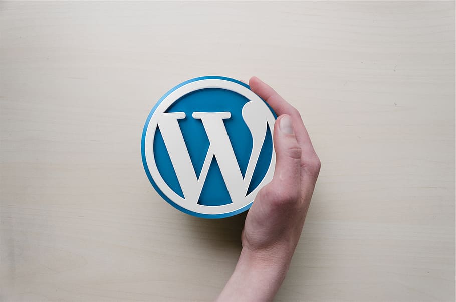 WordPress Logo, human limb, one person, studio shot, finger Free HD Wallpaper