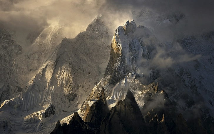 Yak, himalayas, pakistan, summit, sunlight Free HD Wallpaper