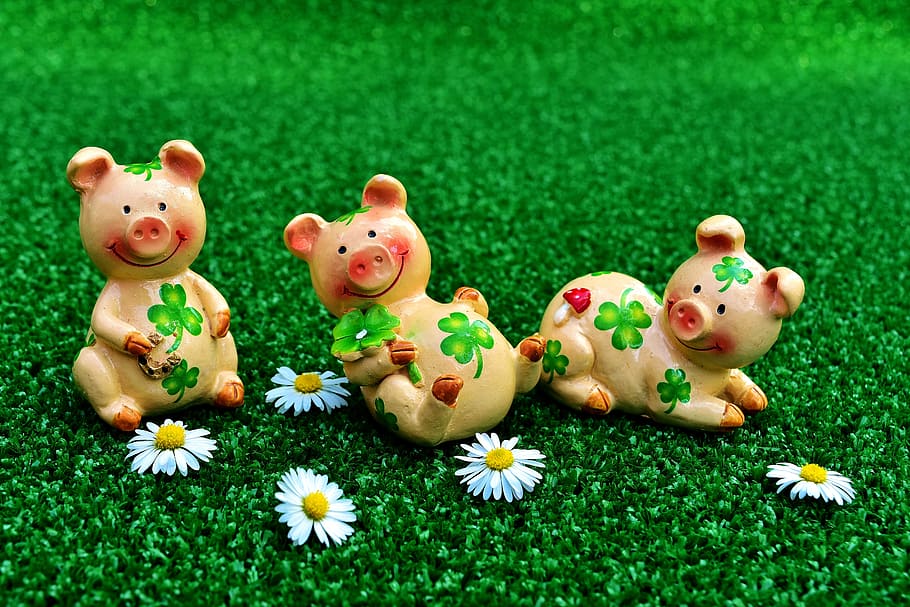 Chanchito Pig, wishes, easter, food and drink, sweet food Free HD Wallpaper