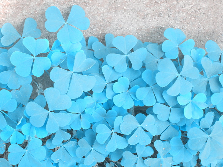 Corelle Blue Flower Pattern, floating on water, heart shape, abstract, textured Free HD Wallpaper