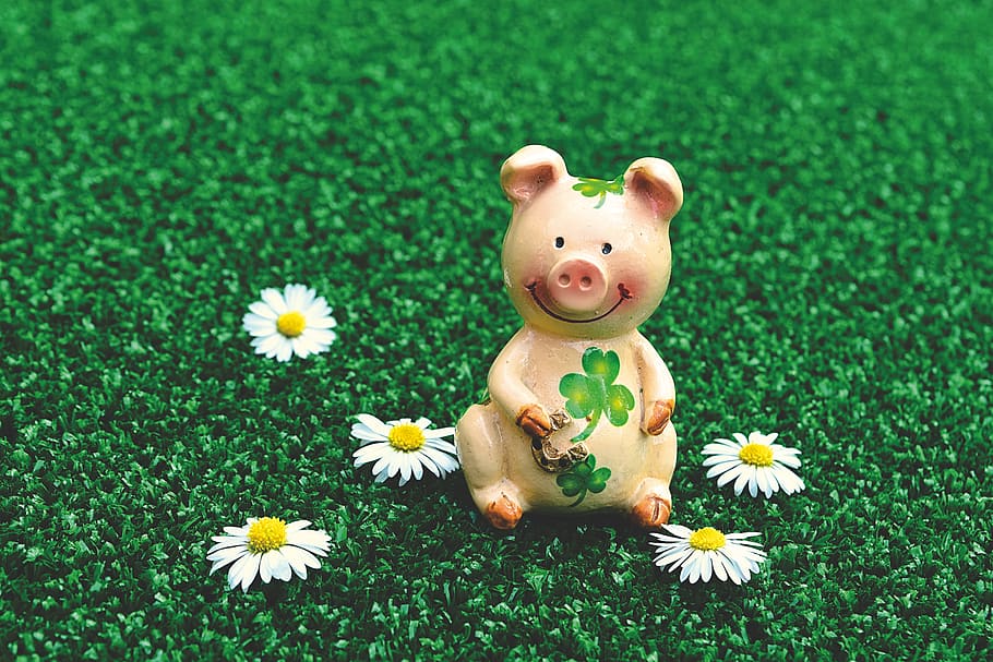 Cute Pig Graphics, good luck, pig, flower head, vulnerability Free HD Wallpaper