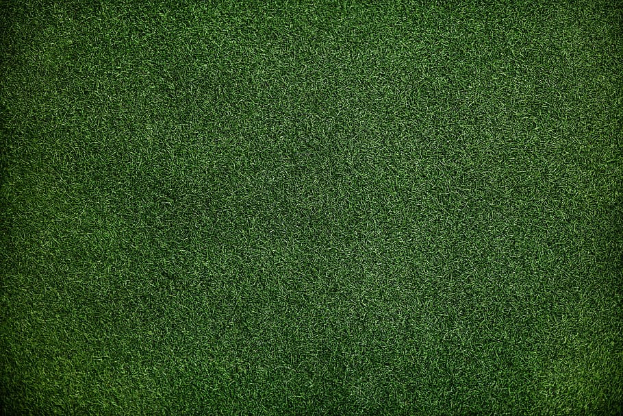 Dark Green Grass Textures Seamless, sports equipment, color, gardening, texture Free HD Wallpaper