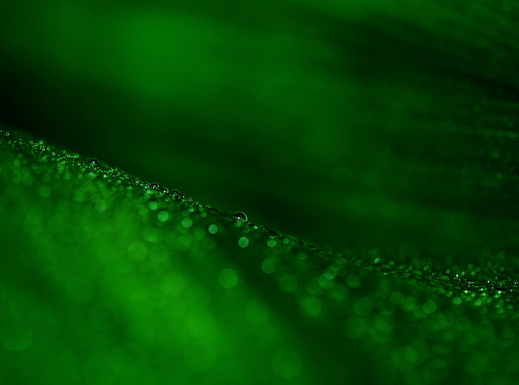 drip, green, aero, filigree Free HD Wallpaper