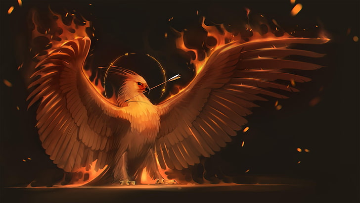 Griffin, spread wings, mythical bird, motion, orange color Free HD Wallpaper