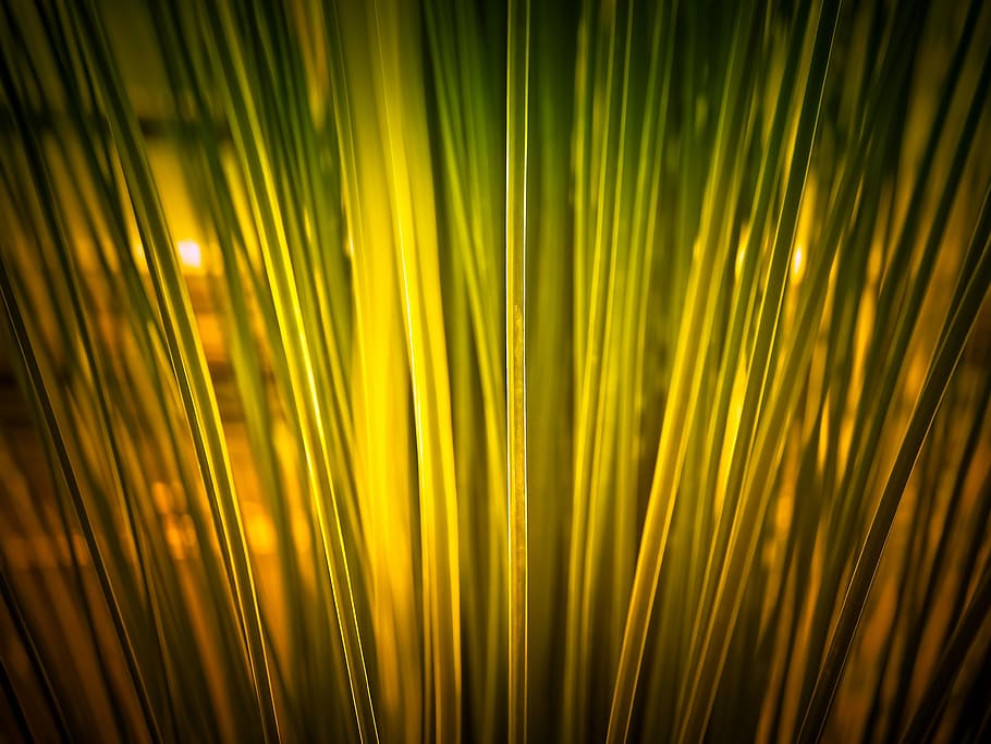 illustration, lichtspiel, light, yellow