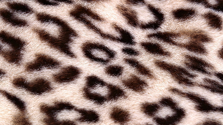 Leopard Print Fabric, zoo, cheetah, fur, animal