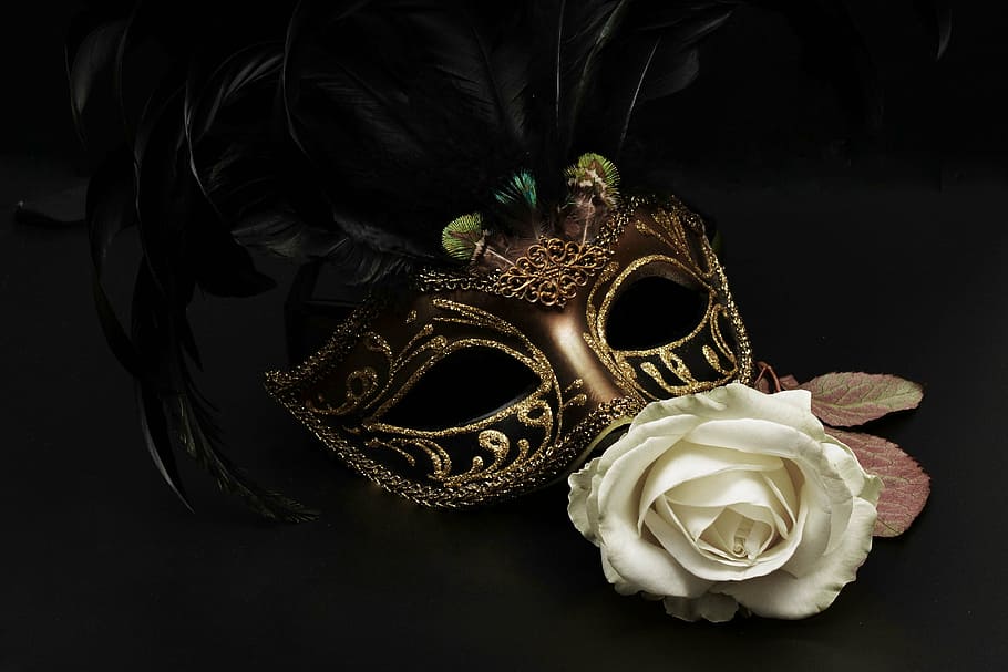 Masquerade Mask DIY, beauty in nature, hide, close, flower