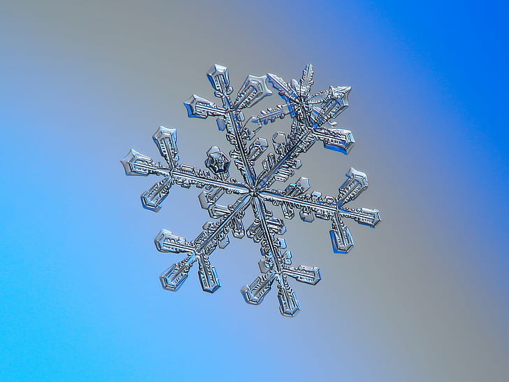 Microscopic Snowflake, snowflake, 3in1, closeup, decor Free HD Wallpaper
