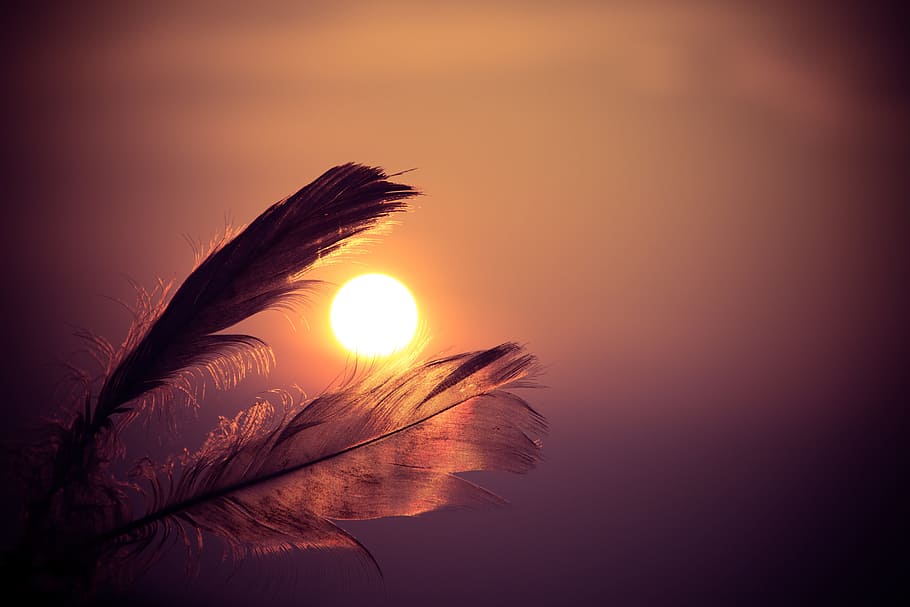 Native American Medicine Bag, outdoors, translucent, orange color, glowing Free HD Wallpaper