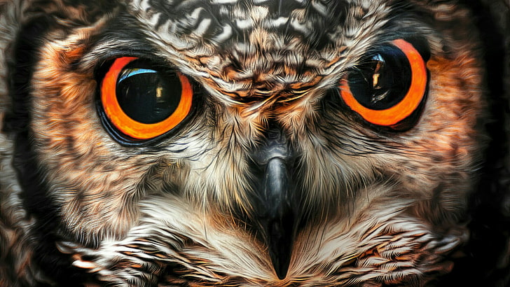 Owl Eyes Drawing, animal eye, one animal, feather, closeup Free HD Wallpaper