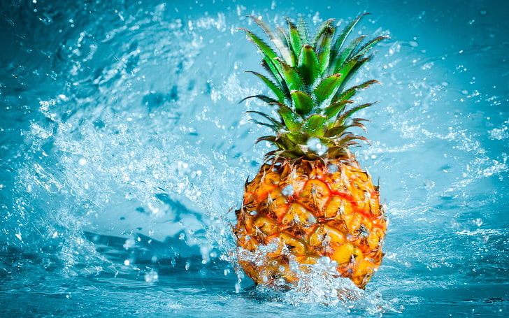 Pineapple Paper, impact, closeup, no people, sea Free HD Wallpaper